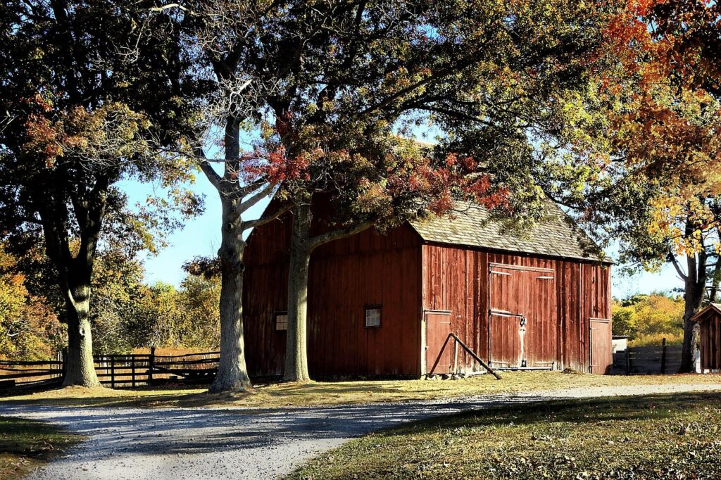 barn-321039_1280