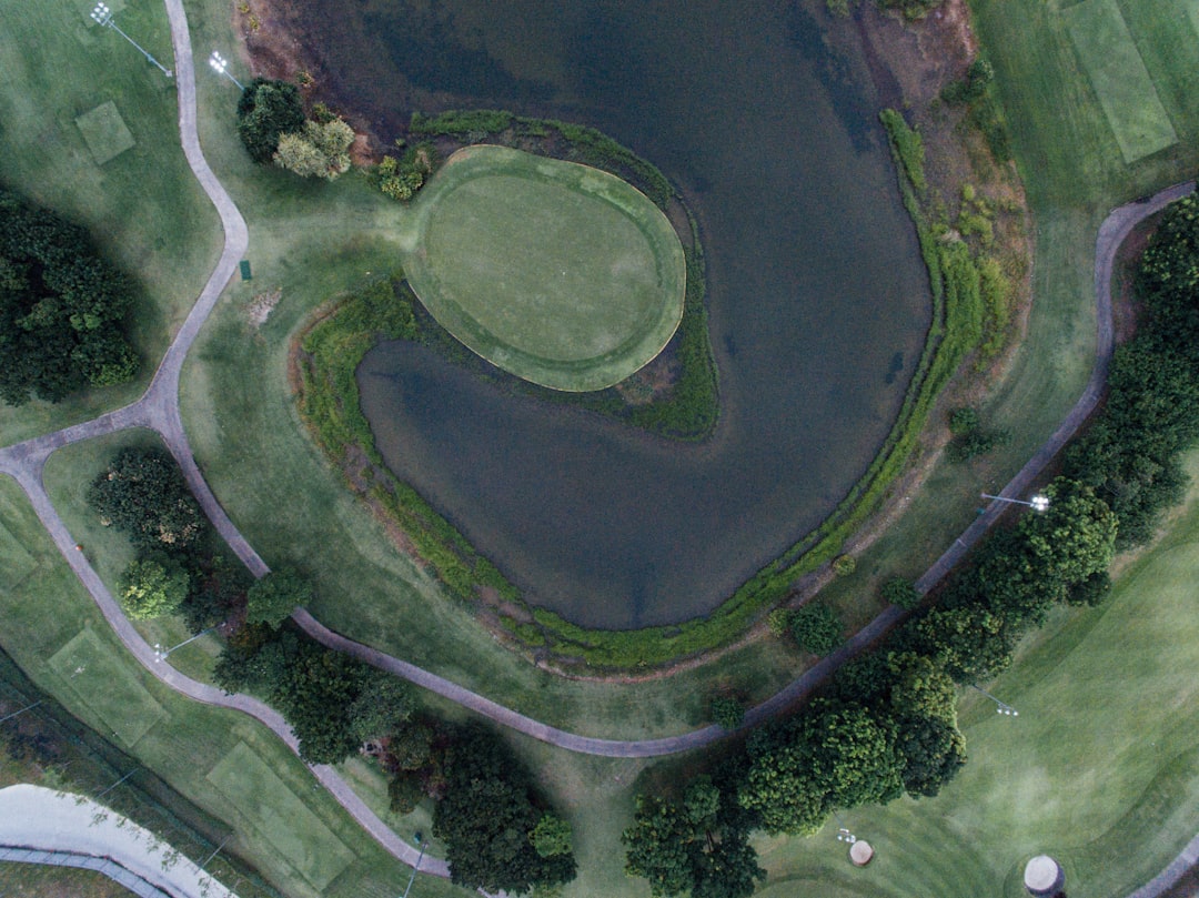 river surrounded by trees