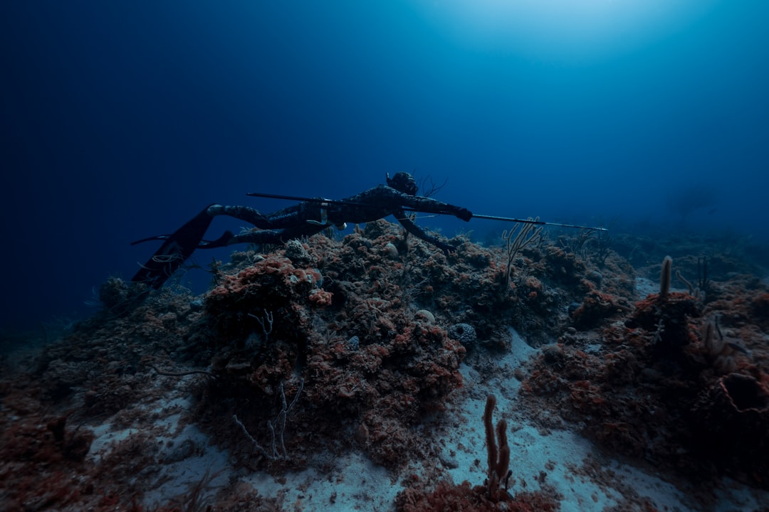 an underwater photo of a scuba diver on a coral reef